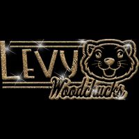 GLT101 GOLD GLITTER Thumbnail