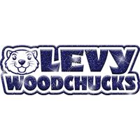 GLT99 BLUE GLITTER Thumbnail